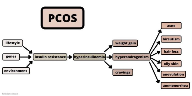 pcos-insulin-resistance-explained-how-to-reverse-it-holistic-nerd