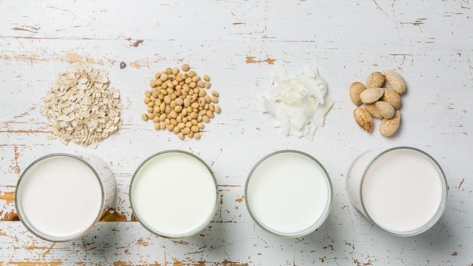 Best Milk & Milk Alternatives For PCOS (The Ultimate Guide) - Holistic Nerd