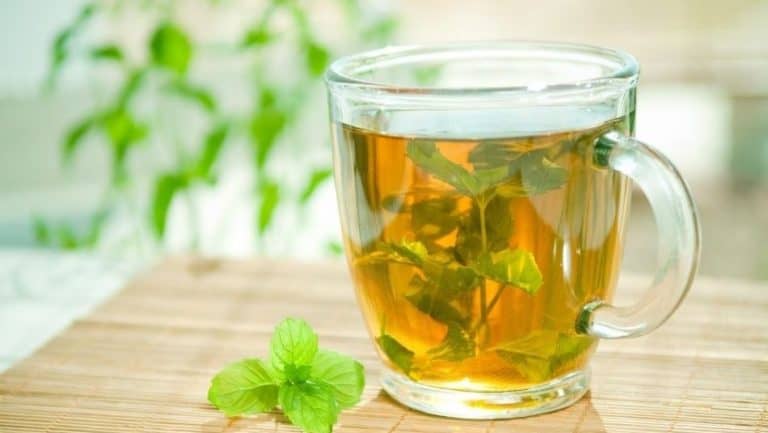 Spearmint Tea For PCOS: Benefits, Risks & Practical Tips - Holistic Nerd